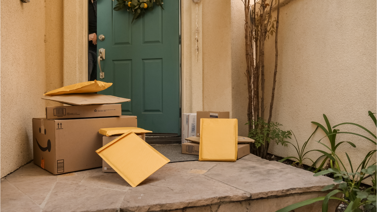 What is Anicam Box express?
